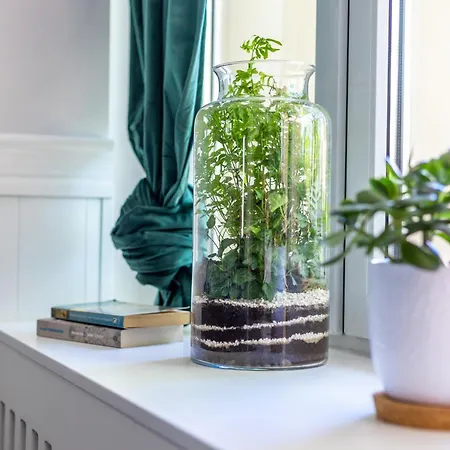 Swidnicka Deluxe Apartamento Wrocław